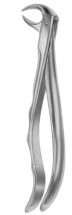  Fig. 86A lower molars 